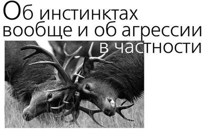 Об инстинктах вообще и об агрессии в частности
